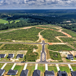 Deerfoot Pines