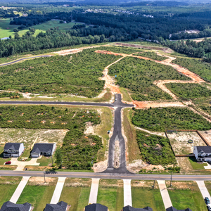 Deerfoot Pines