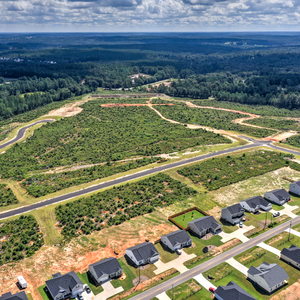Deerfoot Pines