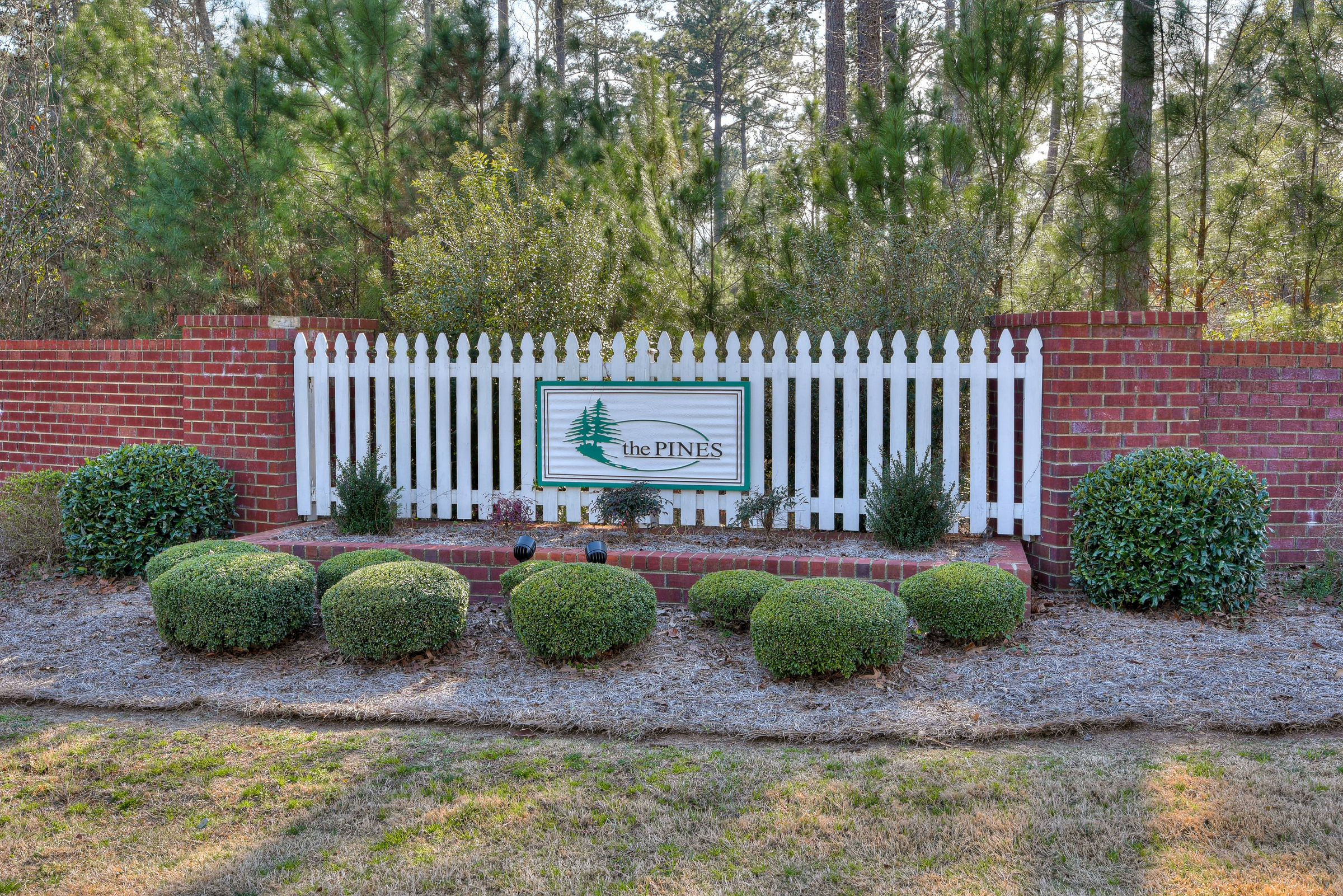 The Pines