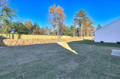 384 Mill Stone Lane, North Augusta, South Carolina - Amberly