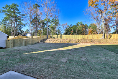 384 Mill Stone Lane, North Augusta, South Carolina - Amberly