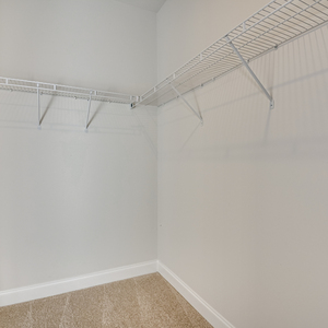 6056 Ephemeral Circle, Beech Island, South Carolina - Amberly