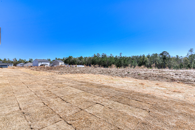 3271 Heartwood Pass, Aiken, South Carolina - Ficus