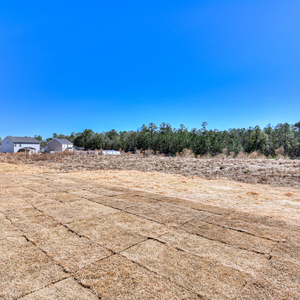 The Pines 42B