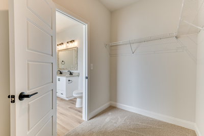 3203 Tracker Lane, Warrenville, South Carolina - Amberly