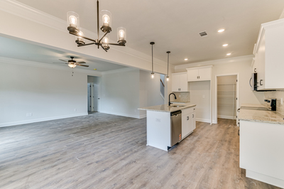 108 Paspalum Ct, Greenwood, South Carolina - Williamsburg II