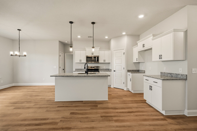 220  Manchester Dr, Statesboro, Georgia - Hamilton II