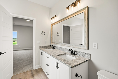 220  Manchester Dr, Statesboro, Georgia - Hamilton II