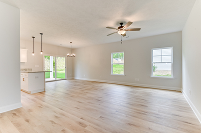 426 Mill Stone Lane, North Augusta, South Carolina - Ficus