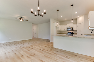 426 Mill Stone Lane, North Augusta, South Carolina - Ficus