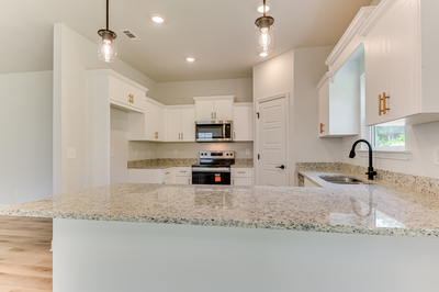 426 Mill Stone Lane, North Augusta, South Carolina - Ficus