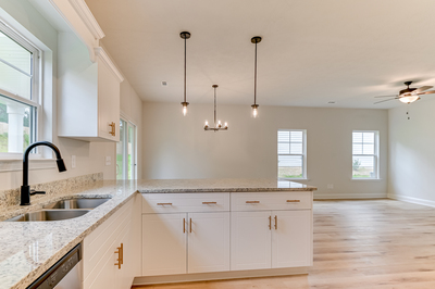 426 Mill Stone Lane, North Augusta, South Carolina - Ficus