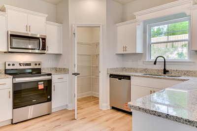 426 Mill Stone Lane, North Augusta, South Carolina - Ficus