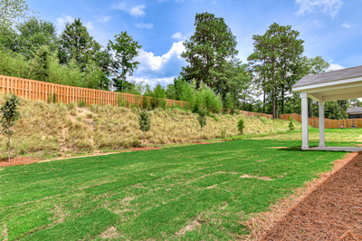 426 Mill Stone Lane, North Augusta, South Carolina - Ficus