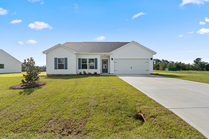 209 Palmetto Loop, Vidalia, Georgia