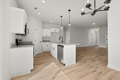 209 Palmetto Loop, Vidalia, Georgia - Creston II