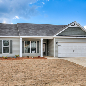 204 Palmetto Loop, Vidalia, Georgia - Ashford