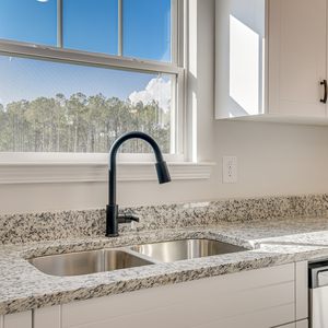 204 Palmetto Loop, Vidalia, Georgia - Ashford
