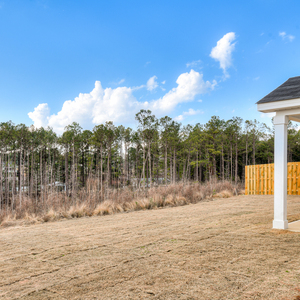 204 Palmetto Loop, Vidalia, Georgia - Ashford