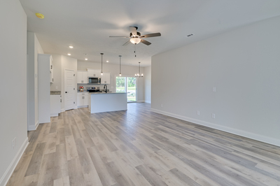 209 Palmetto Loop, Vidalia, Georgia - Creston II