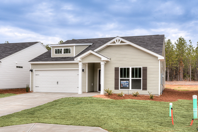 213 Palmetto Loop, Vidalia, Georgia - Ficus