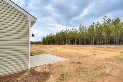 213 Palmetto Loop, Vidalia, Georgia - Ficus