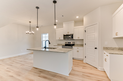 166 Traditions Drive, Trenton, South Carolina - Bristol