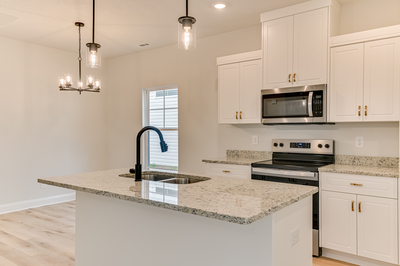 166 Traditions Drive, Trenton, South Carolina - Bristol