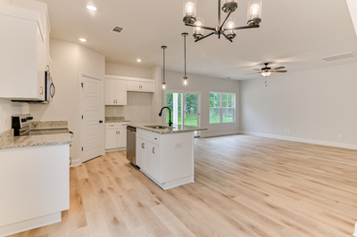 166 Traditions Drive, Trenton, South Carolina - Bristol