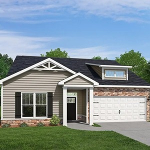 426 Mill Stone Lane, North Augusta, South Carolina - Ficus